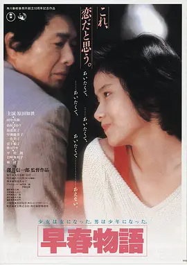 第九次日落 海报
